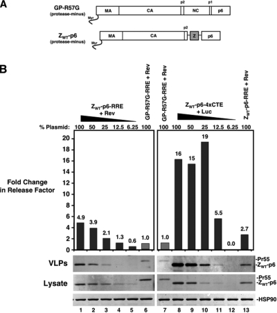 FIG. 4.