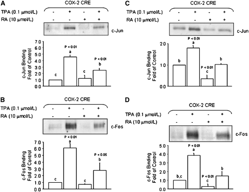 FIGURE 3 