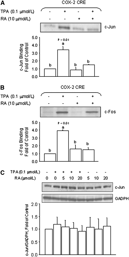 FIGURE 5 