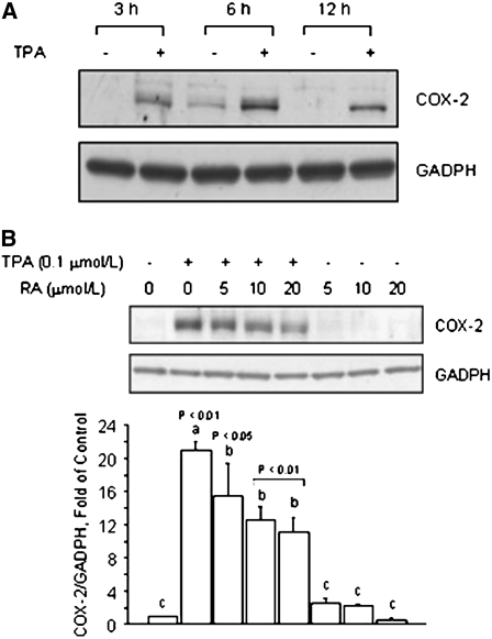 FIGURE 4 