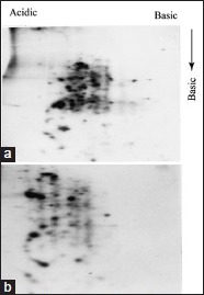 Supplement Figure 1