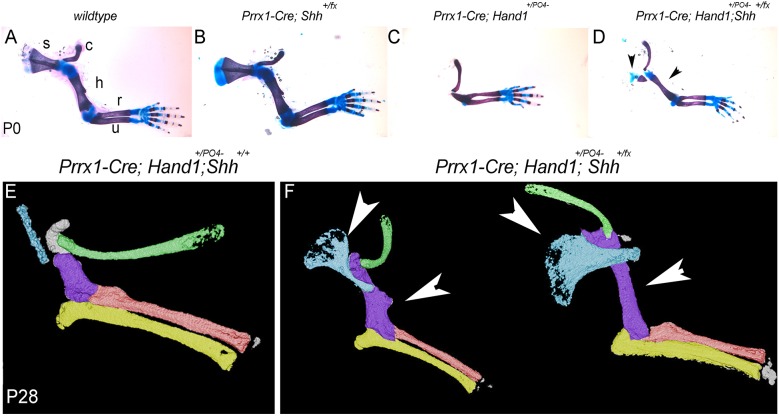 Fig. 7.