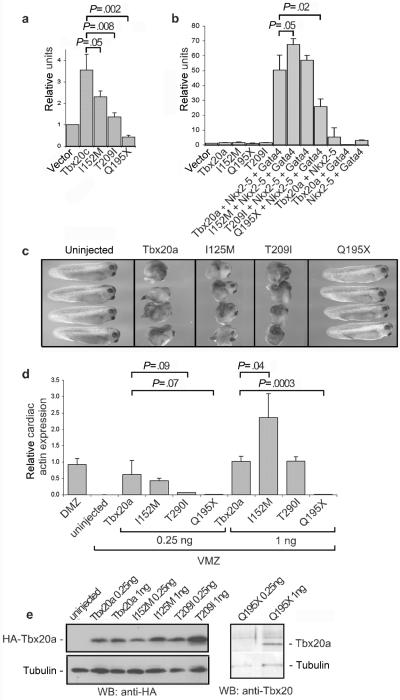 Figure  3. 