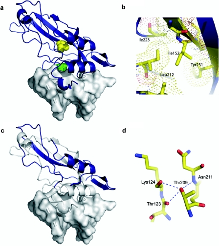 Figure  2. 