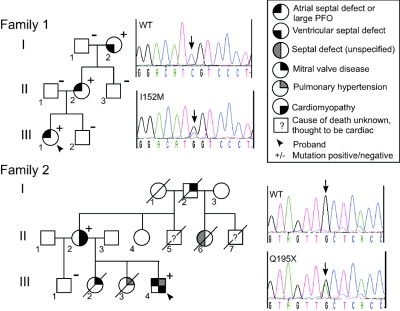 Figure  1. 