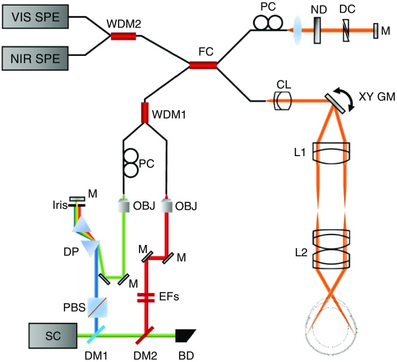 Fig. 1