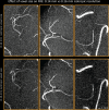 Figure 7—figure supplement 2.