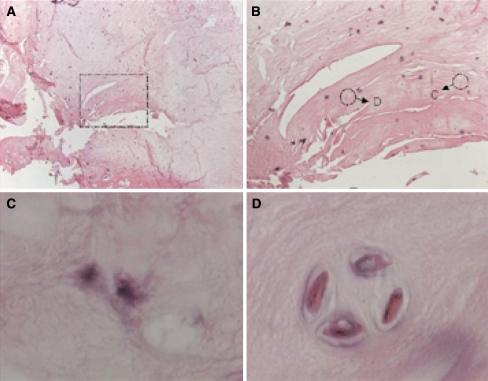 Fig. 2