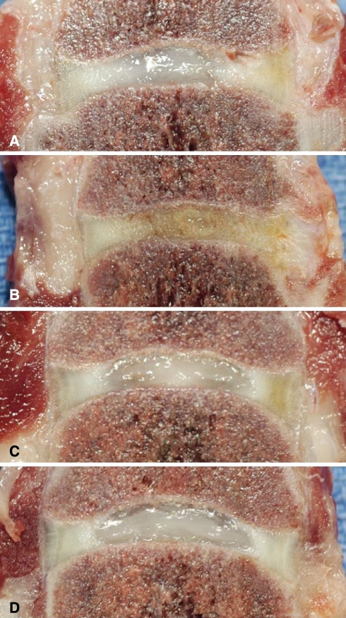 Fig. 6