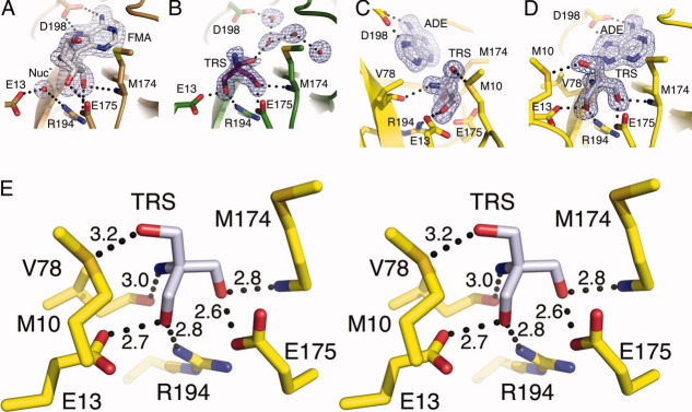 Figure 7