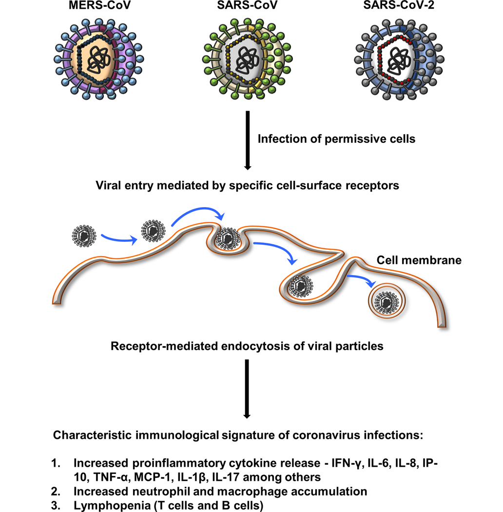 Figure 1: