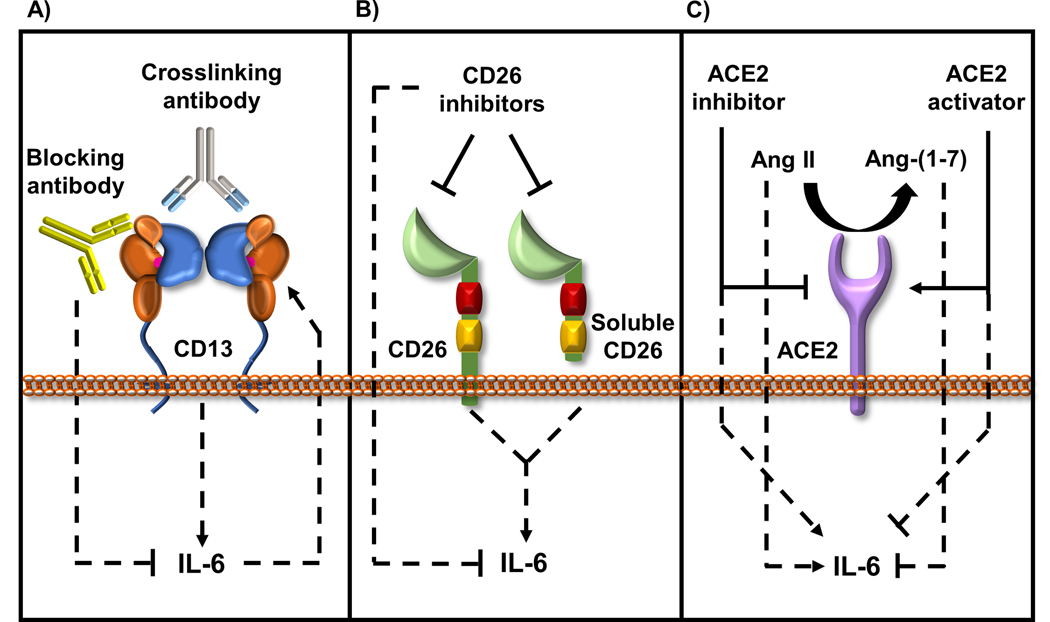 Figure 2: