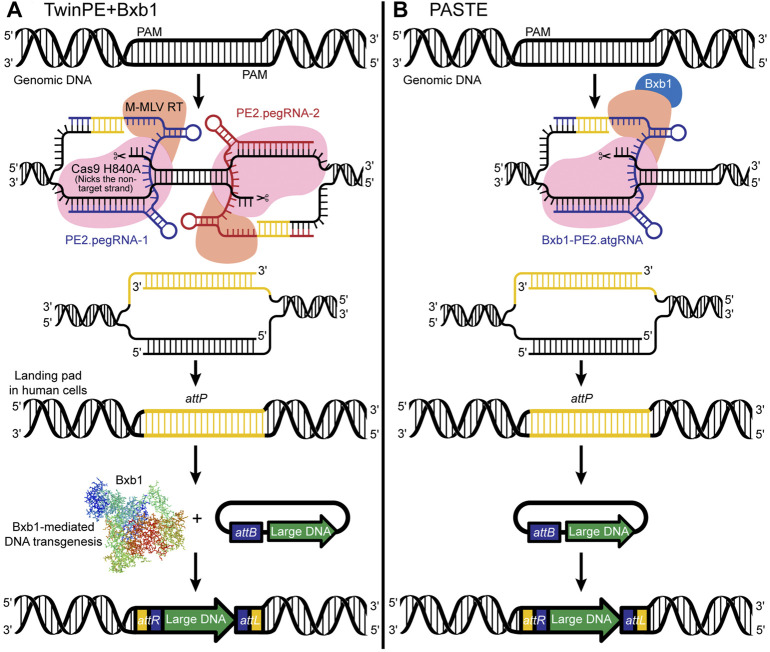 FIGURE 4