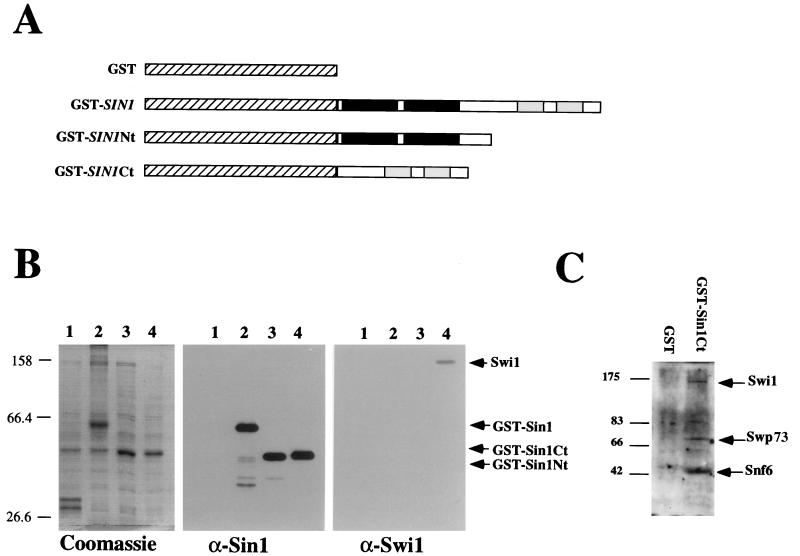 FIG. 5