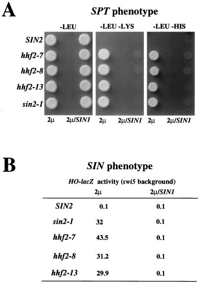 FIG. 1