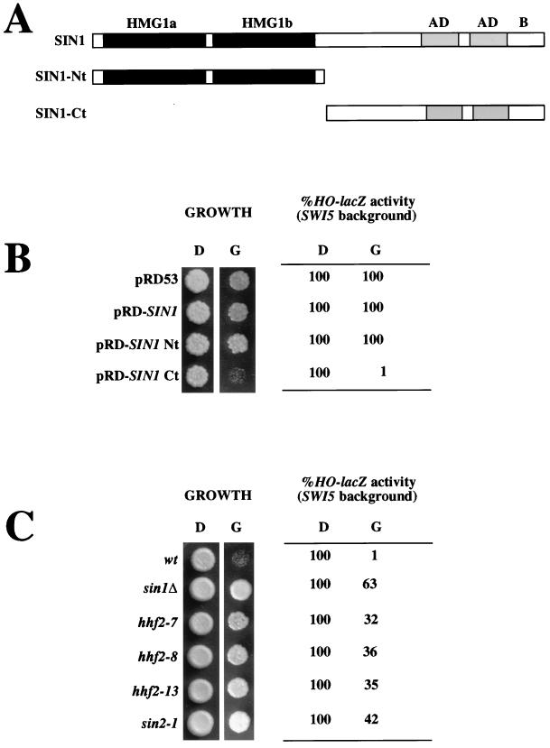 FIG. 3