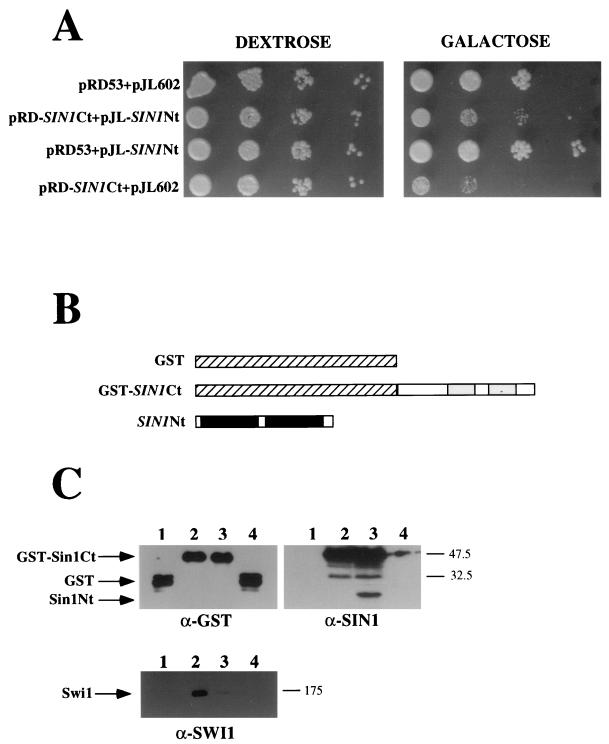 FIG. 6