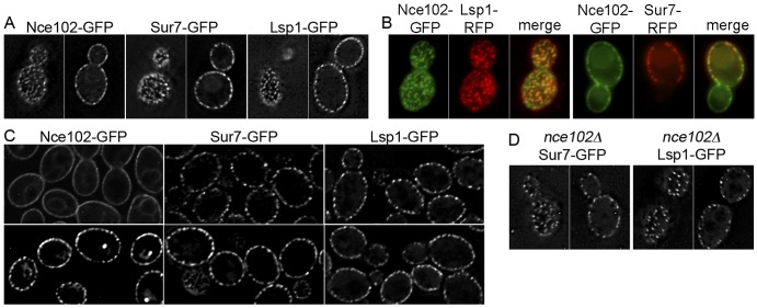 FIG 4 