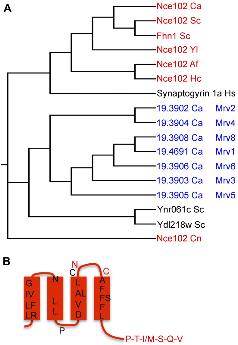 FIG 1 