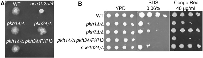 FIG 5 