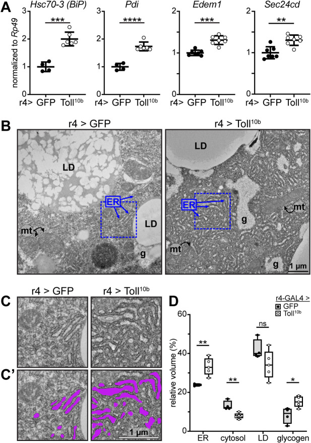 Fig 6