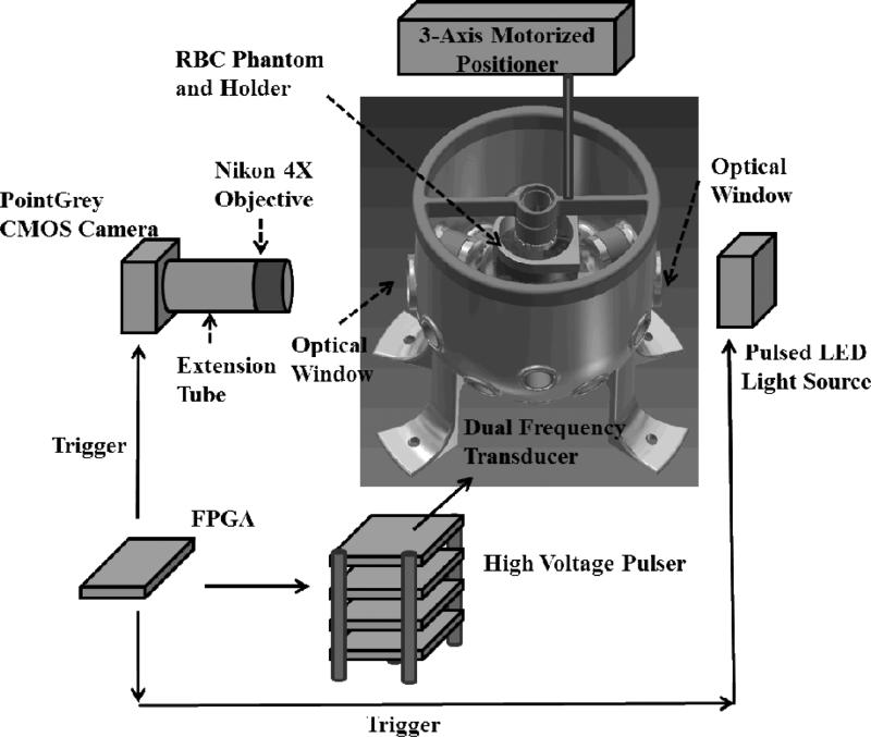 Fig. 5