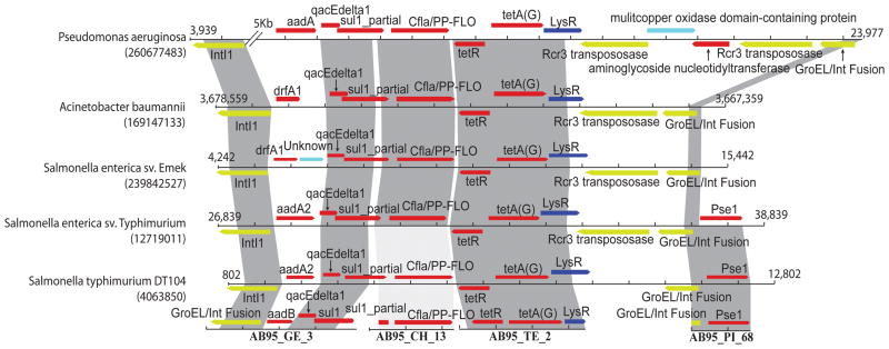 Fig. 3