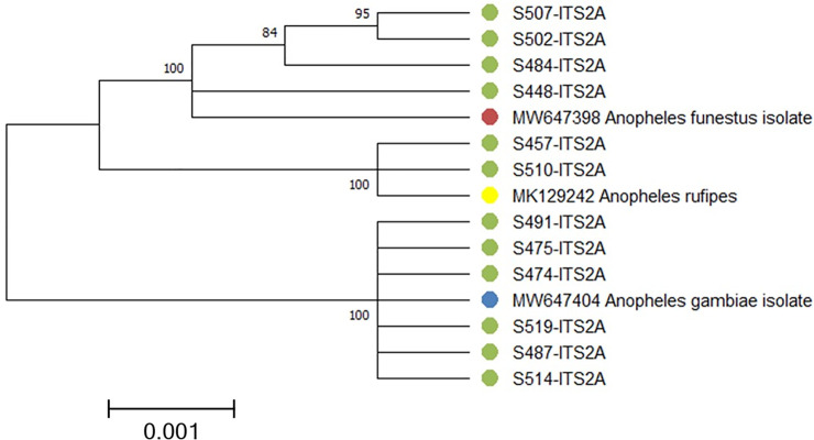 Fig 6