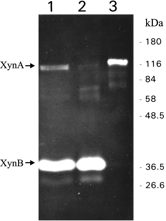 FIG. 2.