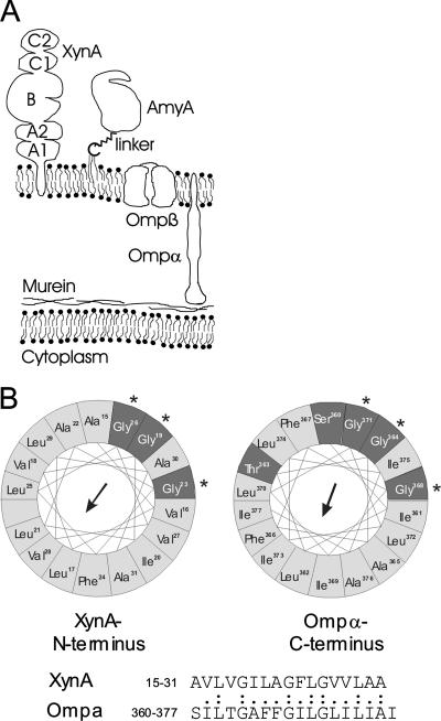 FIG. 8.