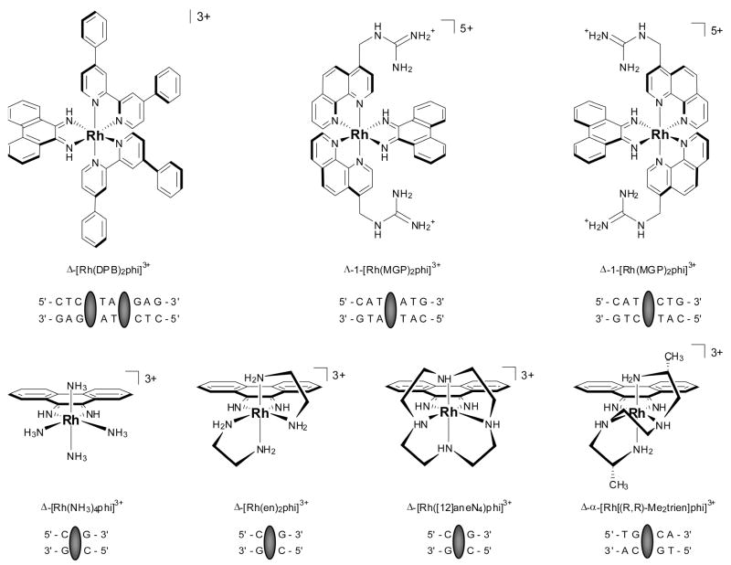 Fig. 8