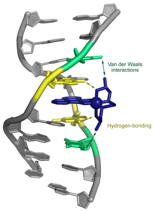 Fig. 5