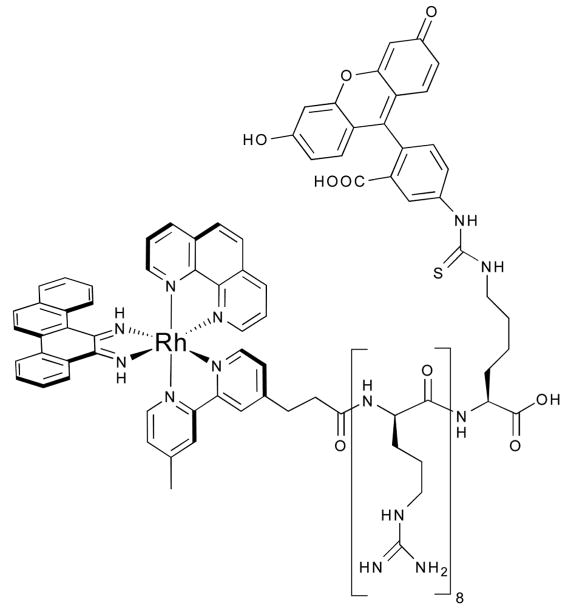 Fig. 14