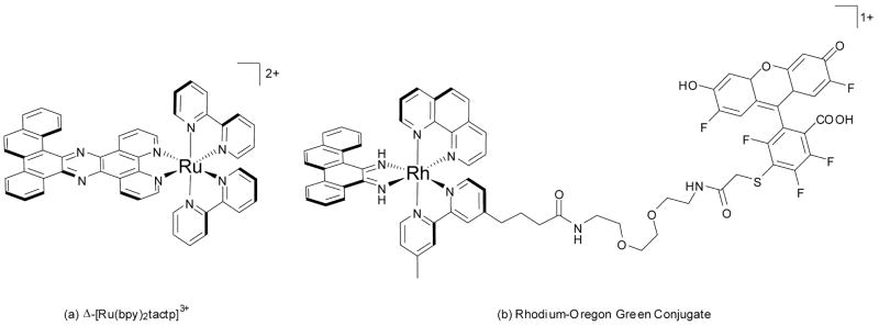 Fig. 11