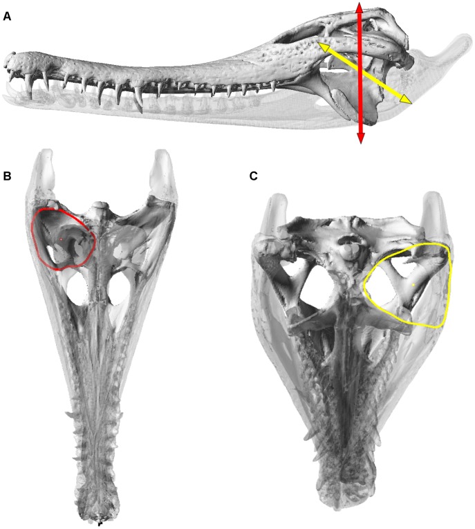 Figure 12