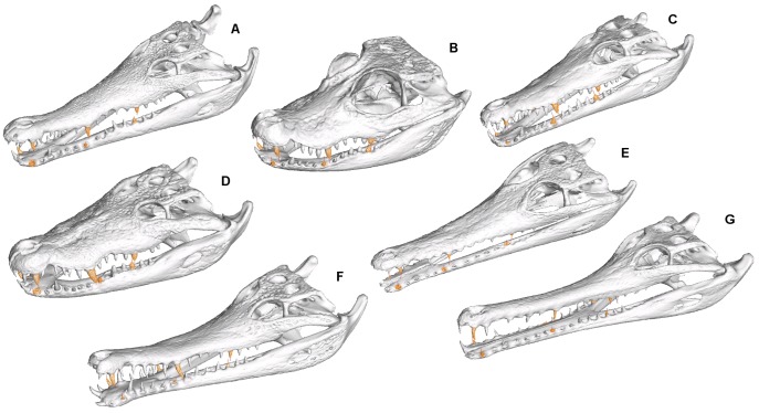 Figure 13