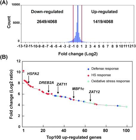 Fig. 5. Effect of 2-Hal on gene expression in Arabidopsis. Legends of panels (A) and (B) are the same as those for Fig. 3, in which the light blue triangles indicate oxidative stress response genes. A detailed list is shown in Table S3.