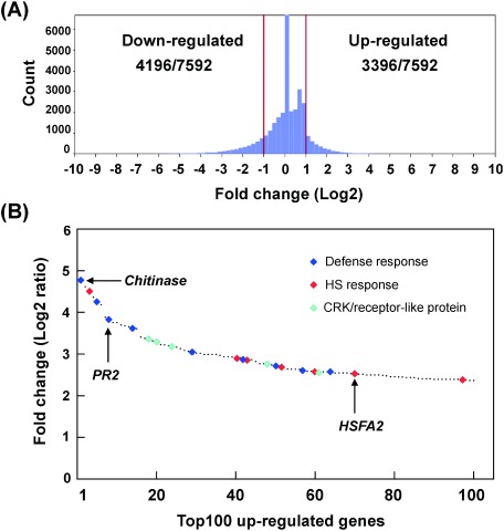 Fig. 4. Effect of 3-Hol on gene expression in Arabidopsis. Legends of panels (A) and (B) are the same as those for Fig. 3. A detailed list is shown in Table S2.