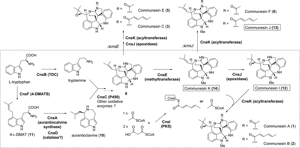 Figure 4