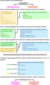 Diagram 1.