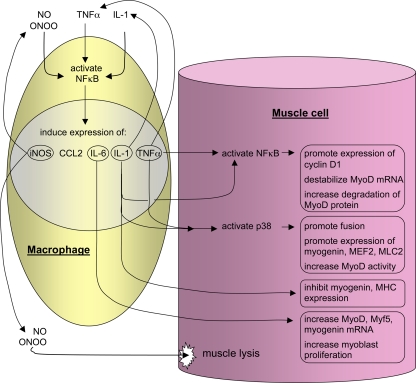 Fig. 3.