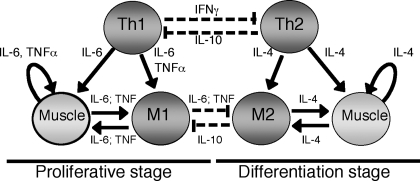 Fig. 5.