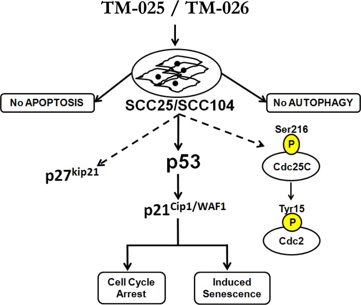 Fig 8