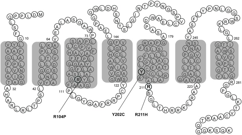 Fig 1