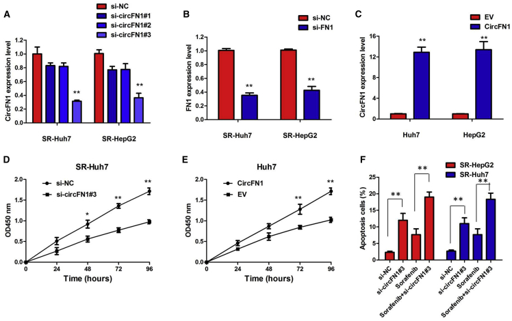 Figure 4