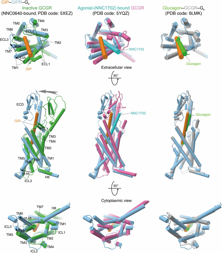 Figure 2—figure supplement 2.