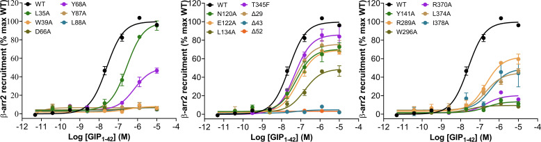 Figure 2—figure supplement 1.