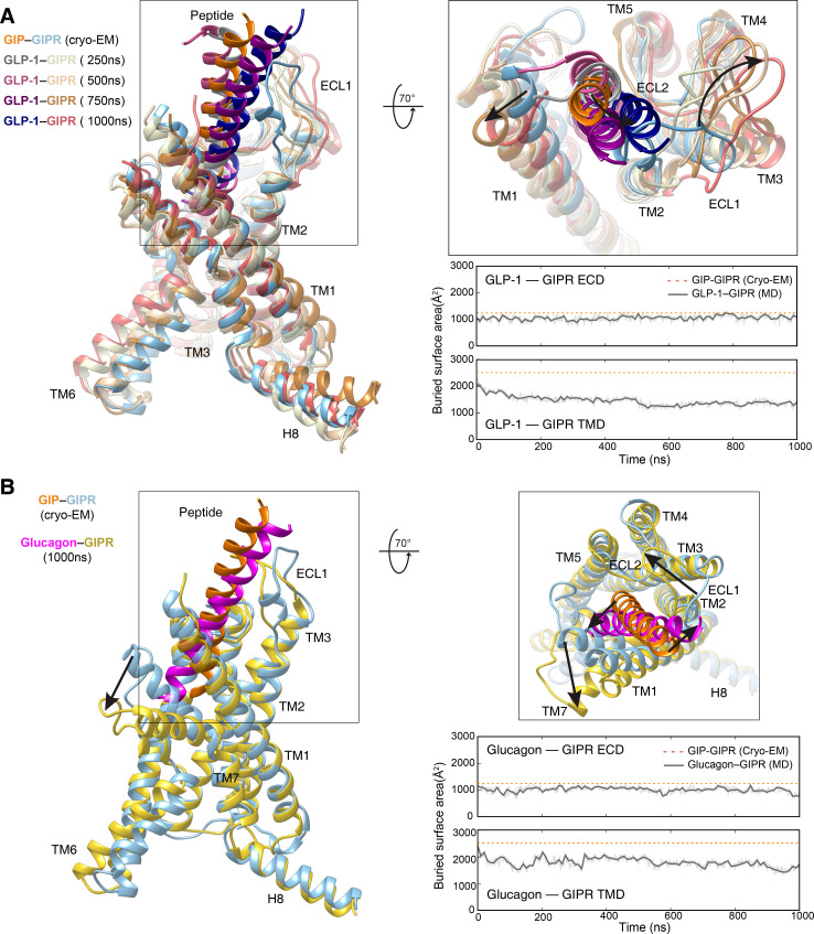 Figure 4—figure supplement 2.