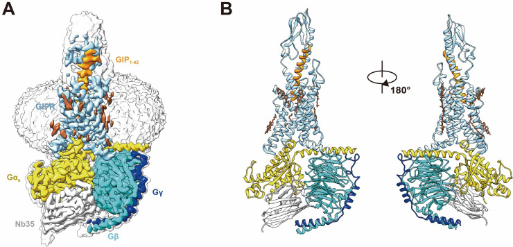 Figure 1.