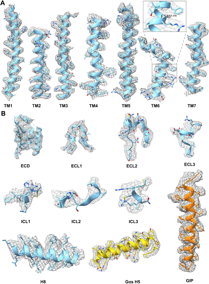 Figure 1—figure supplement 3.